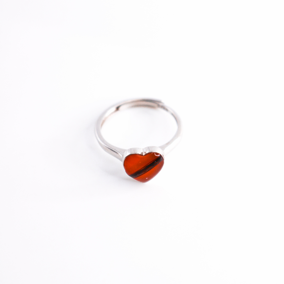 Anillo con cenizas o pelo "Amor eterno" Plata 925