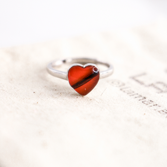 Anillo con cenizas o pelo "Amor eterno"  Plata 925